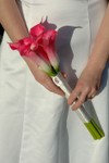 charlie_bright_pink_calla_lily_bridesmaid_bouquet.jpg