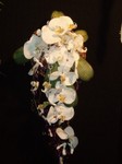 wedding-flowers-orchids1.jpg